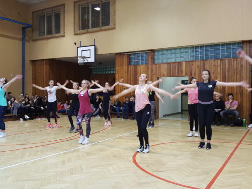 aerobic20184