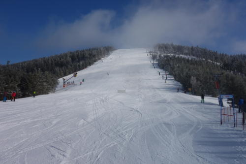lvk20199