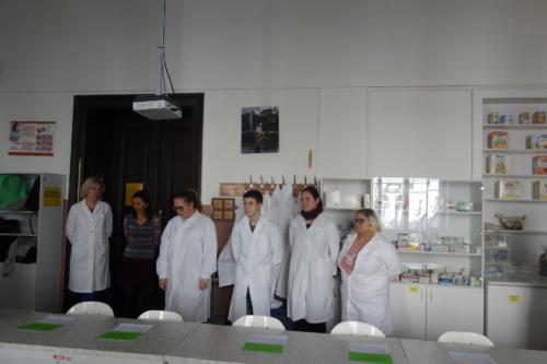 ose20193
